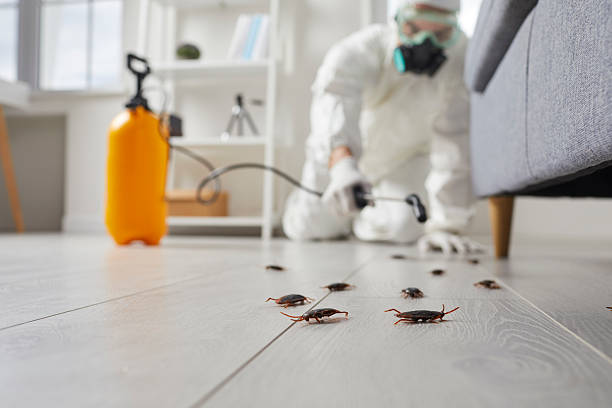 Commercial Kitchen Cockroach Control in Zanesville